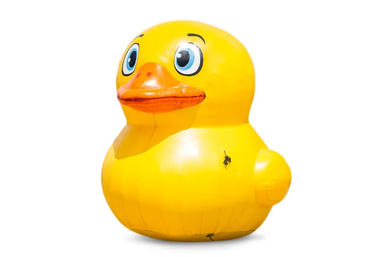 Rubber Duck