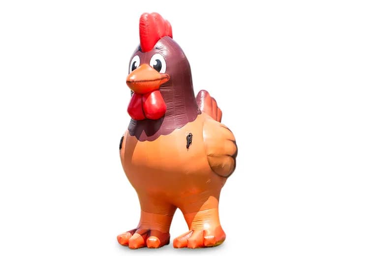 Chicken