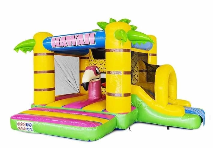Bouncy Box Hawaii Bouncy Castle
