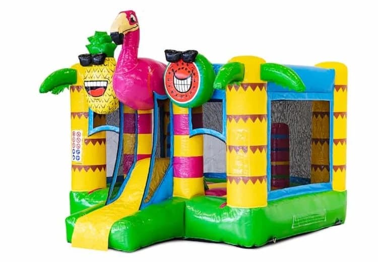 Mini Bounce Flamingo Bouncy Castle