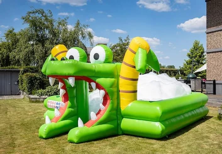 Bubble Park Crocodile