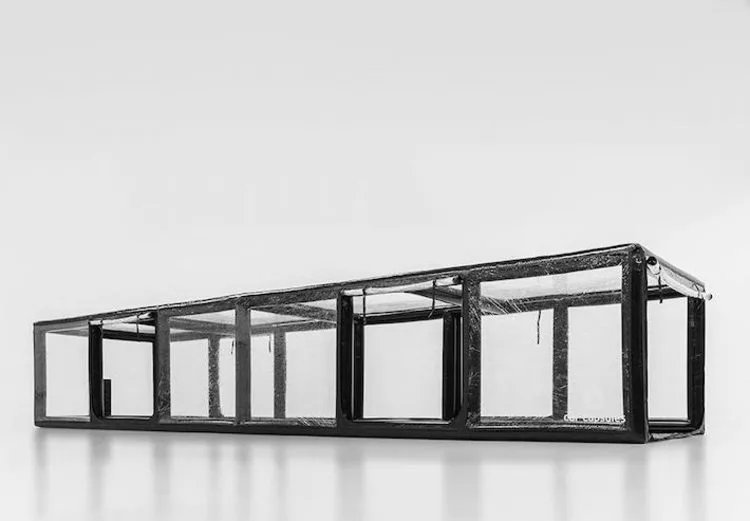 Showcase - 1098 x 282 x 198 cm Black