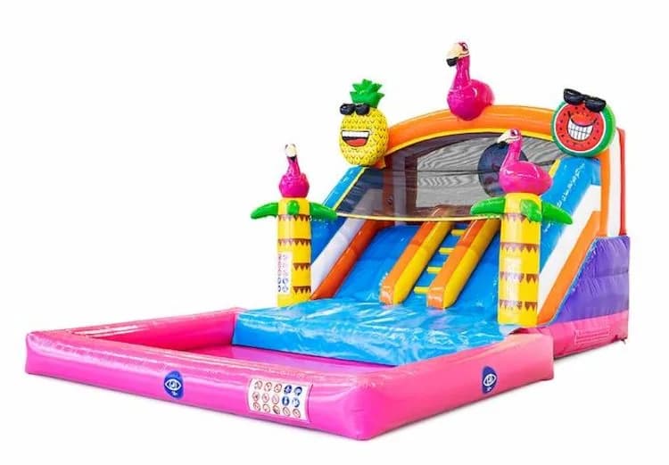 Splashy Slide Flamingo Bouncy Castle