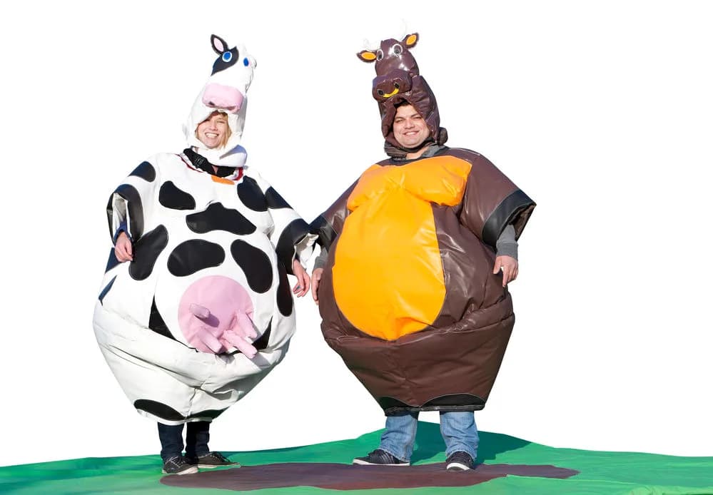 Sumo Cow & Bull