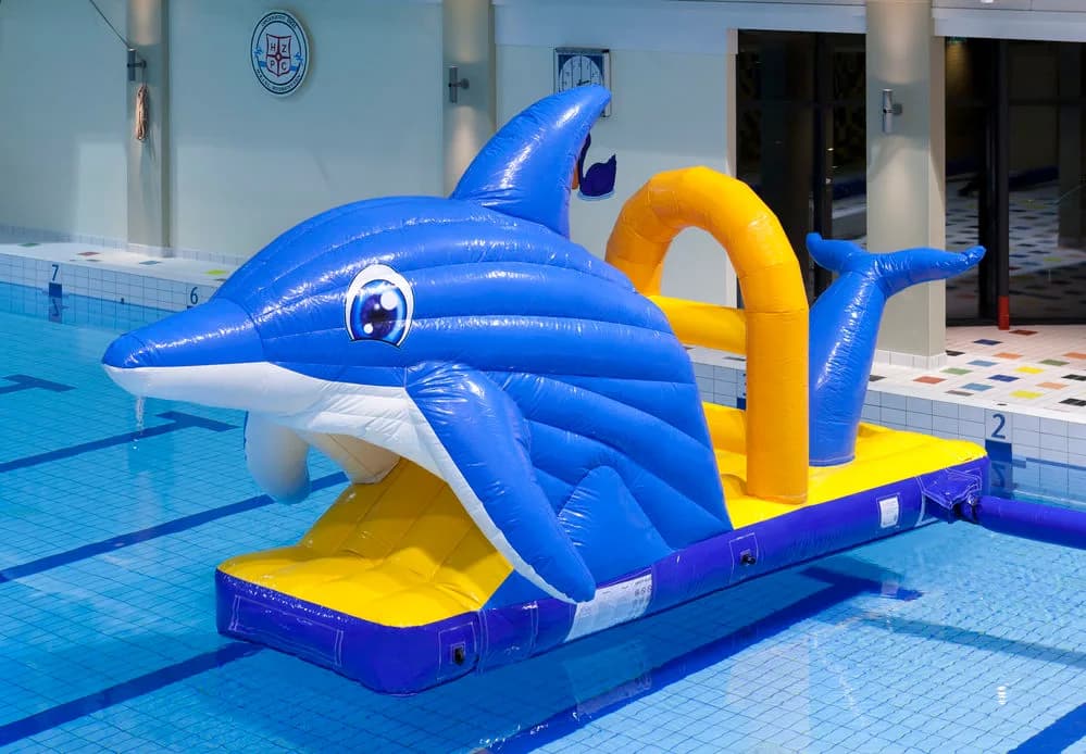 Dolphin Pool Slide
