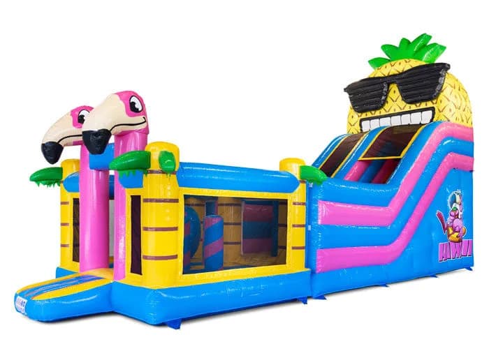 4 in 1 Hawaii Slide