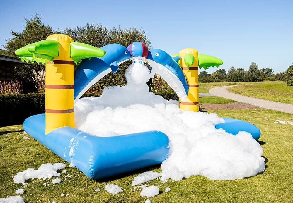 Bubble Park Dolphin